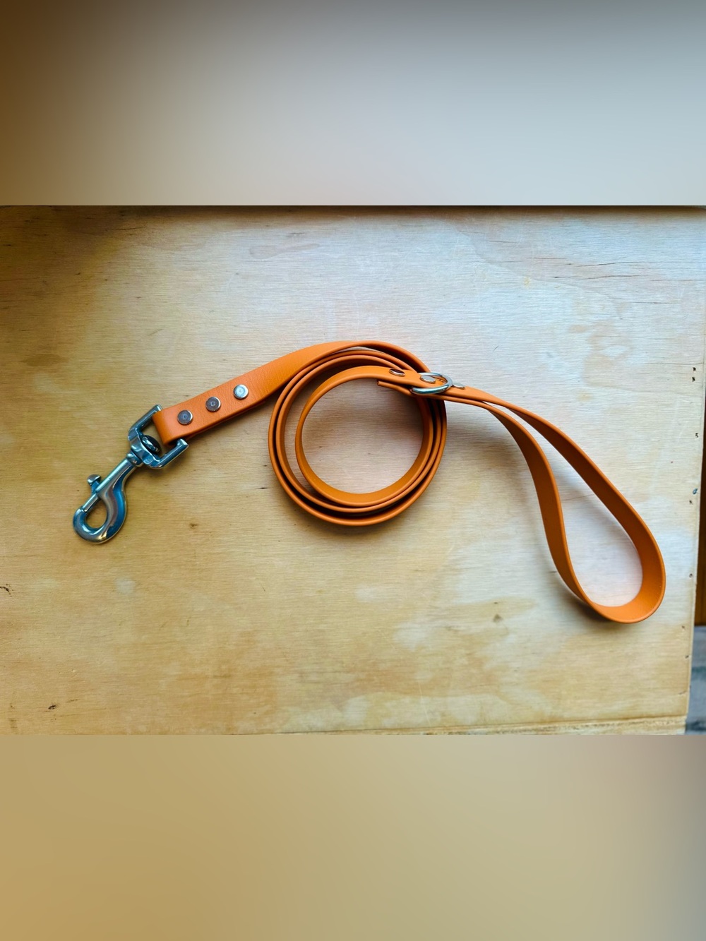 Biothane Dog Leash Bundle (set of 2) - waterproof